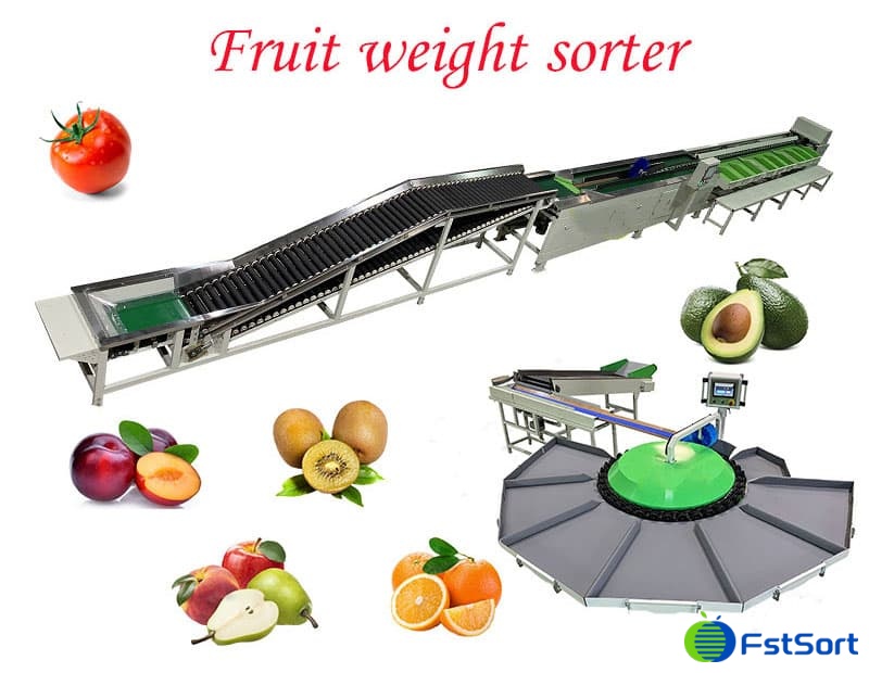 images/1673251189714fruit sorting line.jpg